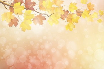 autumn in blurry circle glowing bokeh background