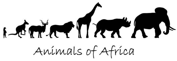 Silhouettes of animals of Africa: meerkat, kangaroo, kudu antelope, lion, giraffe, rhino, elephant isolated on white © boxerx