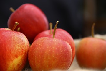 Apfel Obst Frucht