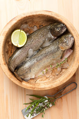 Raw uncooked Trout fish herbs on dark wooden background