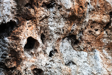 large stone with holes
