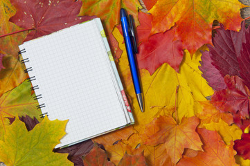 Naklejka na ściany i meble Notebook on maple leaves
