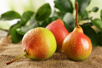 Fresh pears on sackcloth, closeup