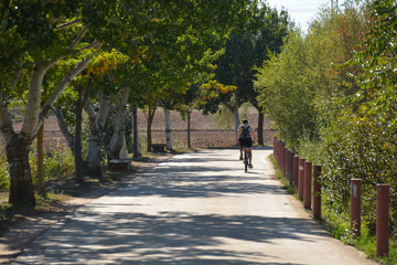 ruta en bicicleta por el campo