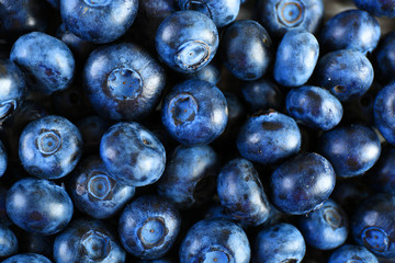 Heap of tasty ripe blueberries close up