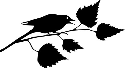silhouette of bird sitting on branch