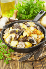 Fried potatoes with mushrooms