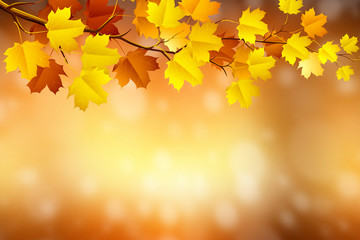 autumn in blurry circle glowing bokeh background