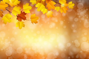 autumn in blurry circle glowing bokeh background