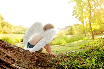 Cute baby with angel wings