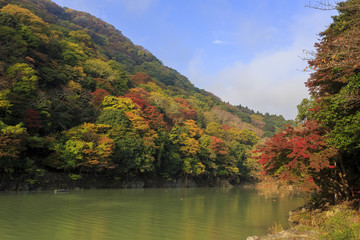 Superb view, fall color at Arashiyama, Japan in the autumn