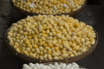 ASIA THAILAND BANGKOK THOMPSON HOUSE SILK