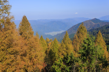 Superb view, fall color at Hieizan Enryakuji, Japan in the autum