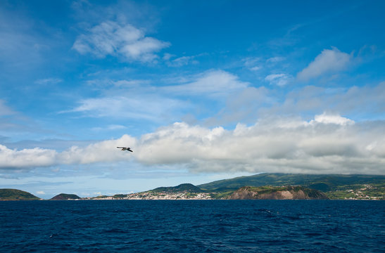 The Island Faial