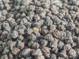 Black chickpeas