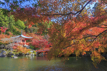 Fototapeta na wymiar Superb view, fall color at Daigoji temple, Japan in the autumn