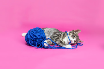 Stricken und Häkeln für Anfänger