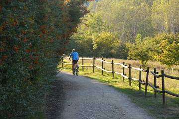 ruta en bicicleta por el campo