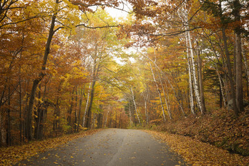 Obraz premium Vermont Road in Autumn