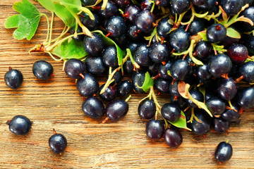 Pile of wet black currants on wooden table, closeup