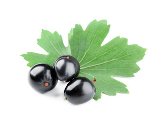 Heap of wild black currant with green leaves isolated on white