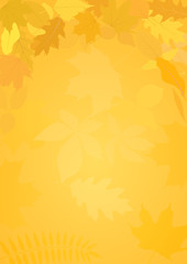 autumn background with leaves