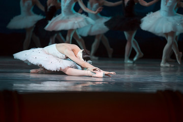 Prima ballerina white swan