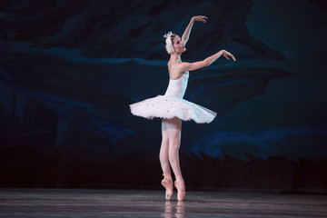 Prima ballerina white swan