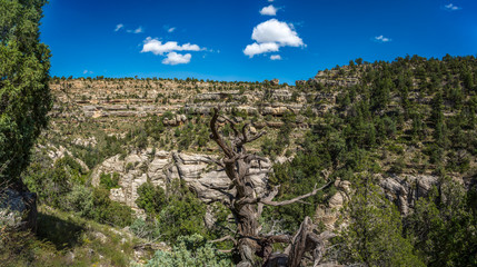 Sparawling Lansdscapes