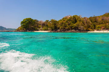 vibrant tropical sea