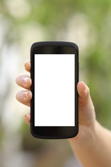 Fototapeta na wymiar Woman hand showing a blank smart phone screen display