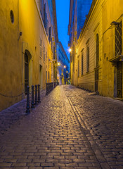 Fototapeta na wymiar Walkway steet in Rome at night - Italy