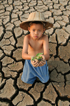 The child hold small tree on hand and looking with sadness face. metaphoric for water crisis and Global warming effect. 