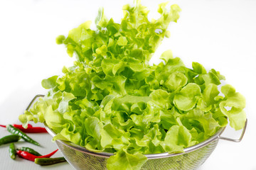 fresh lettuces