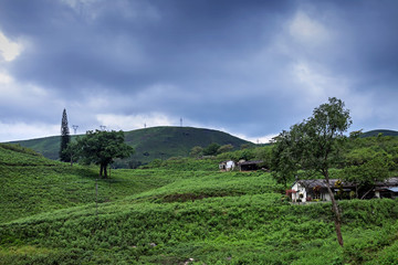 Meadows at Gavi, Kerala