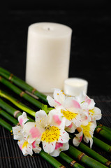 Fototapeta na wymiar Spa setting-beautiful orchid with candle on mat