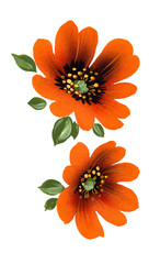 오렌지색 데이지 장식화