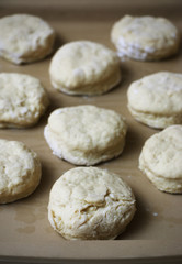 Fototapeta na wymiar Biscuit Dough 
