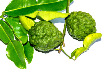 kaffir lime leaves