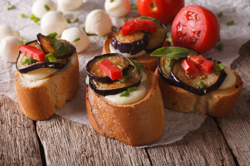 Delicious crostini with aubergine, tomato and cheese. horizontal
