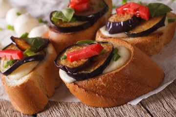 Italian crostini with aubergine, tomato and cheese macro 
