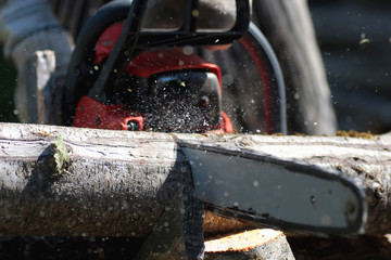 chainsaw to cut firewood