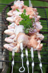 Chicken on the grill to cook