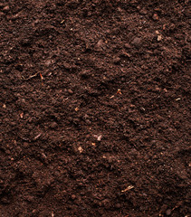 Soil background