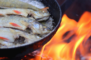 cook fish fried in oil on the fire
