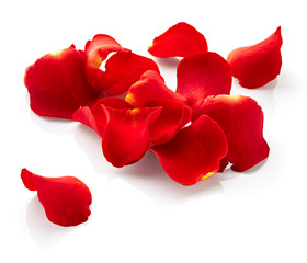 Rose petals