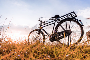 Fototapeta na wymiar Vintage Bicycle with Summer grassfield