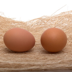 Golden egg in a makeshift nest. On a white background.