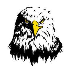 eagle face in white background