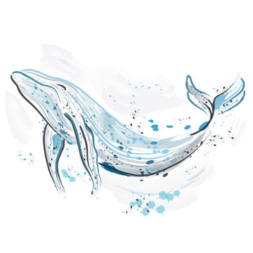 Whale. Retro hand drawn vector illustration.Card, print, t-shirt, postcard, poster.
